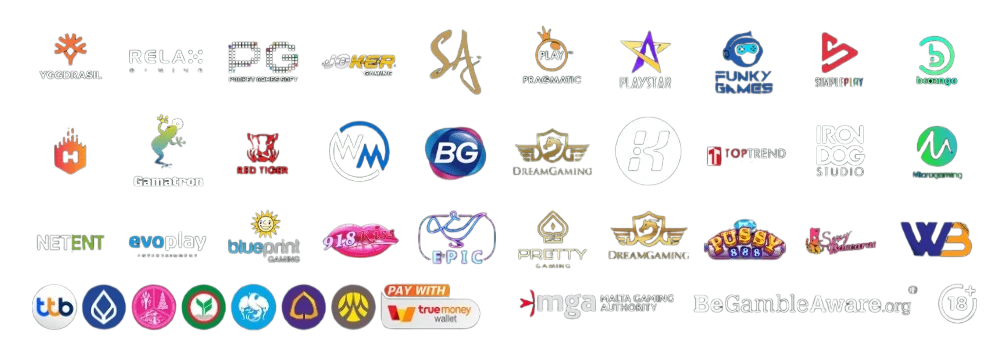BPLAY555